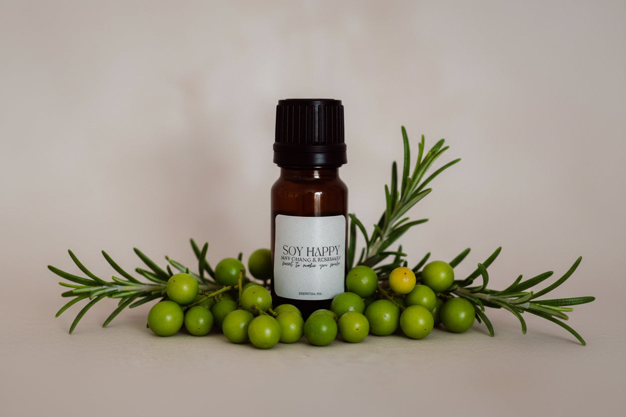 Car diffuser with essential oils